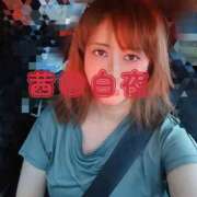 ヒメ日記 2025/07/25 05:32 投稿 茜（あかね） 美熟女専科白夜