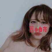 ヒメ日記 2025/08/25 07:00 投稿 茜（あかね） 美熟女専科白夜