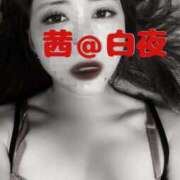 ヒメ日記 2025/08/31 12:00 投稿 茜（あかね） 美熟女専科白夜