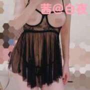 ヒメ日記 2025/09/04 07:00 投稿 茜（あかね） 美熟女専科白夜