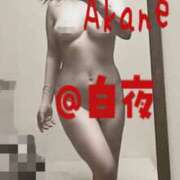 ヒメ日記 2025/11/27 12:00 投稿 茜（あかね） 美熟女専科白夜