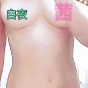 ヒメ日記 2025/12/25 05:00 投稿 茜（あかね） 美熟女専科白夜