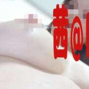 ヒメ日記 2026/03/18 10:05 投稿 茜（あかね） 美熟女専科白夜