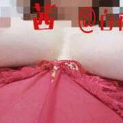 ヒメ日記 2026/03/24 07:00 投稿 茜（あかね） 美熟女専科白夜