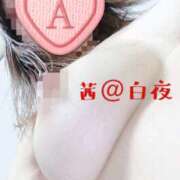 ヒメ日記 2026/04/13 12:00 投稿 茜（あかね） 美熟女専科白夜