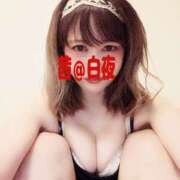 ヒメ日記 2026/06/09 07:40 投稿 茜（あかね） 美熟女専科白夜