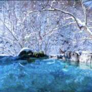 ヒメ日記 2025/02/11 09:52 投稿 藤井 MadameRest(マダムレスト)