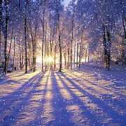 ヒメ日記 2025/02/25 09:52 投稿 藤井 MadameRest(マダムレスト)