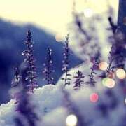 ヒメ日記 2025/03/04 08:01 投稿 藤井 MadameRest(マダムレスト)