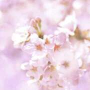 ヒメ日記 2025/03/21 08:08 投稿 藤井 MadameRest(マダムレスト)