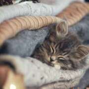 ヒメ日記 2025/04/02 20:36 投稿 藤井 MadameRest(マダムレスト)