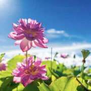 ヒメ日記 2025/05/05 08:14 投稿 藤井 MadameRest(マダムレスト)