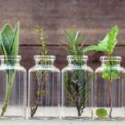 ヒメ日記 2025/06/03 09:54 投稿 藤井 MadameRest(マダムレスト)