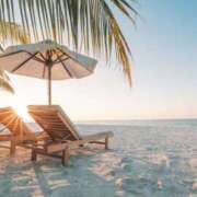 ヒメ日記 2025/06/14 14:00 投稿 藤井 MadameRest(マダムレスト)