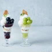 ヒメ日記 2025/08/03 09:57 投稿 藤井 MadameRest(マダムレスト)