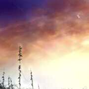 ヒメ日記 2025/08/18 23:10 投稿 藤井 MadameRest(マダムレスト)