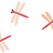 ヒメ日記 2025/09/09 23:10 投稿 藤井 MadameRest(マダムレスト)