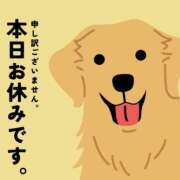 ヒメ日記 2025/09/15 08:08 投稿 藤井 MadameRest(マダムレスト)