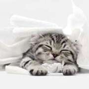 ヒメ日記 2025/09/21 20:33 投稿 藤井 MadameRest(マダムレスト)