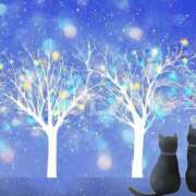 ヒメ日記 2025/11/23 23:14 投稿 藤井 MadameRest(マダムレスト)