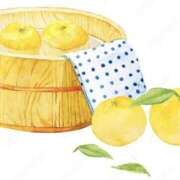 ヒメ日記 2025/12/22 22:21 投稿 藤井 MadameRest(マダムレスト)