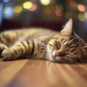 ヒメ日記 2026/01/30 20:21 投稿 藤井 MadameRest(マダムレスト)