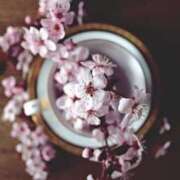 ヒメ日記 2026/03/13 09:42 投稿 藤井 MadameRest(マダムレスト)