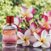 ヒメ日記 2026/03/14 09:43 投稿 藤井 MadameRest(マダムレスト)