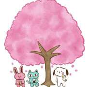 ヒメ日記 2026/03/24 22:48 投稿 藤井 MadameRest(マダムレスト)