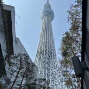 ヒメ日記 2026/03/30 22:22 投稿 藤井 MadameRest(マダムレスト)