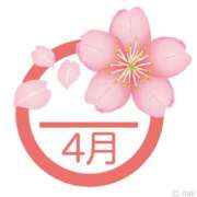 ヒメ日記 2026/04/01 22:53 投稿 藤井 MadameRest(マダムレスト)