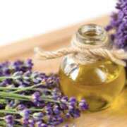 ヒメ日記 2026/04/05 09:47 投稿 藤井 MadameRest(マダムレスト)