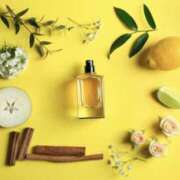 ヒメ日記 2026/04/08 09:48 投稿 藤井 MadameRest(マダムレスト)