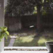 ヒメ日記 2026/04/25 09:42 投稿 藤井 MadameRest(マダムレスト)