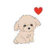 ヒメ日記 2026/04/26 22:12 投稿 藤井 MadameRest(マダムレスト)