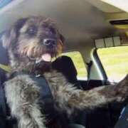 ヒメ日記 2025/03/04 18:07 投稿 菅野 MadameRest(マダムレスト)