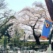 ヒメ日記 2025/03/13 13:06 投稿 菅野 MadameRest(マダムレスト)