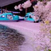 ヒメ日記 2025/04/04 16:50 投稿 菅野 MadameRest(マダムレスト)