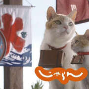 ヒメ日記 2025/05/23 14:37 投稿 菅野 MadameRest(マダムレスト)