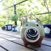 ヒメ日記 2025/06/01 16:00 投稿 菅野 MadameRest(マダムレスト)