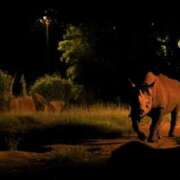 ヒメ日記 2025/07/24 15:39 投稿 菅野 MadameRest(マダムレスト)