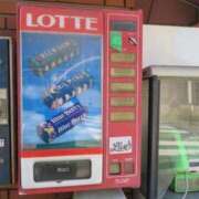 ヒメ日記 2025/08/20 16:30 投稿 菅野 MadameRest(マダムレスト)