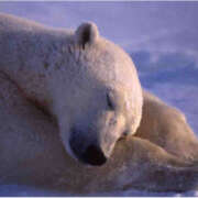 ヒメ日記 2025/08/26 17:46 投稿 菅野 MadameRest(マダムレスト)