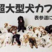 ヒメ日記 2025/08/27 16:52 投稿 菅野 MadameRest(マダムレスト)