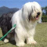 ヒメ日記 2025/09/26 18:30 投稿 菅野 MadameRest(マダムレスト)