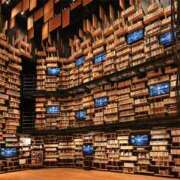 ヒメ日記 2025/10/12 15:43 投稿 菅野 MadameRest(マダムレスト)