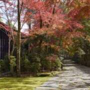 ヒメ日記 2025/10/13 16:35 投稿 菅野 MadameRest(マダムレスト)