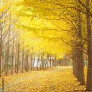 菅野 こんにちは MadameRest(マダムレスト)