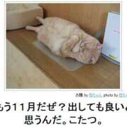 菅野 こんばんは MadameRest(マダムレスト)