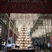 ヒメ日記 2025/12/17 16:55 投稿 菅野 MadameRest(マダムレスト)